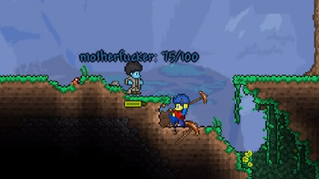 The Most Scuffed Terraria Squad