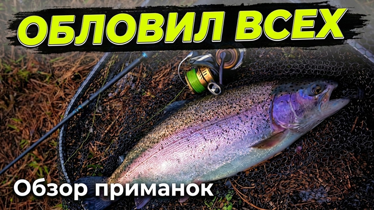 Как обловить конкурентов на запуске. Ловим форель на спиннинг. Рыбалка с LV Fishing.