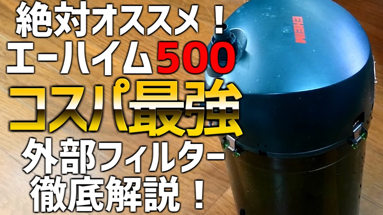 コスパ最強外部フィルター、エーハイム500を徹底解説！エーハイム2213よりも高性能！？#39【アクアリウム】