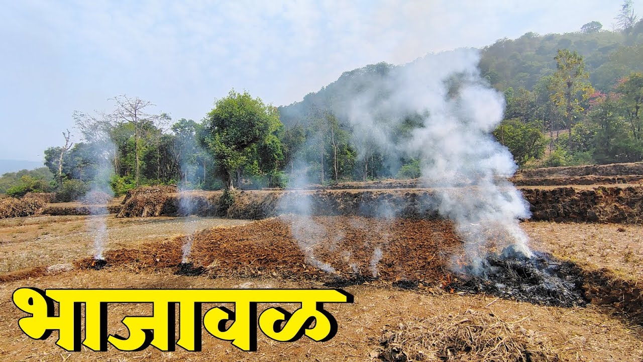 भाजावळ का केली जाते 🤔 भाजावळ शेतीआधीची महत्वाची प्रक्रिया | Kokani Darshan | #kokan