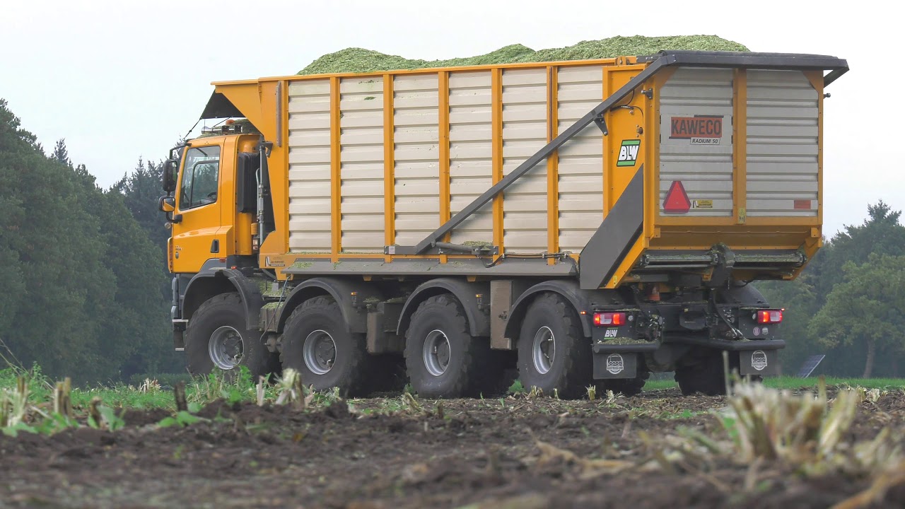 Tatra Agritruck  in de mais JWD. Markvoort