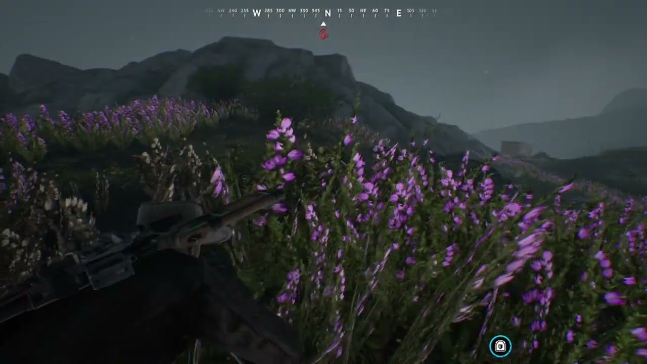 Vigor Gameplay & Tips for the Average Player