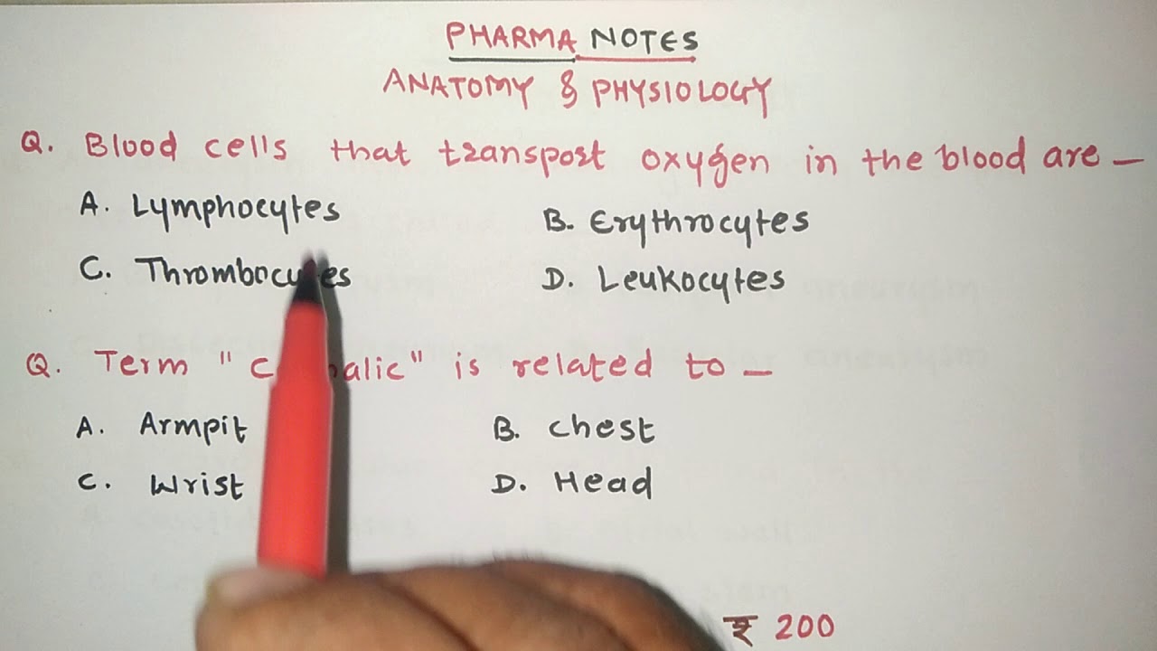ANATOMY AND PHYSIOLOGY | MCQ'S | RRB PHARMACIST EXAM | ESIC | GPAT | NIPER | DI