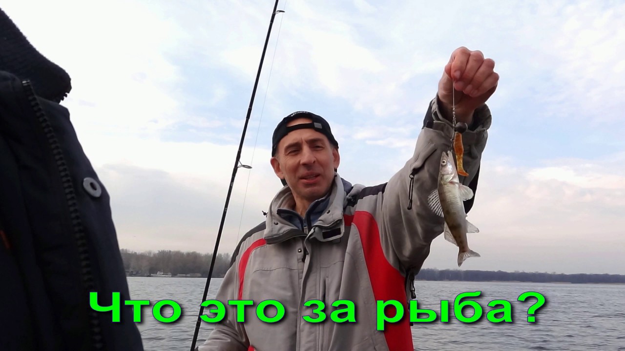 База Водоканала, Кишеньки, 6 марта 2020 года. Проплываем мимо на катере.