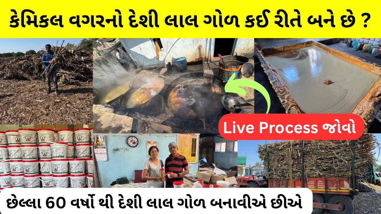 કેમિકલ વગરનો દેશે ગોળ કઈ રીતે બને છે? | દેશી ગોળ બનાવવાની રીત | jaggery making in factory | #jaggery