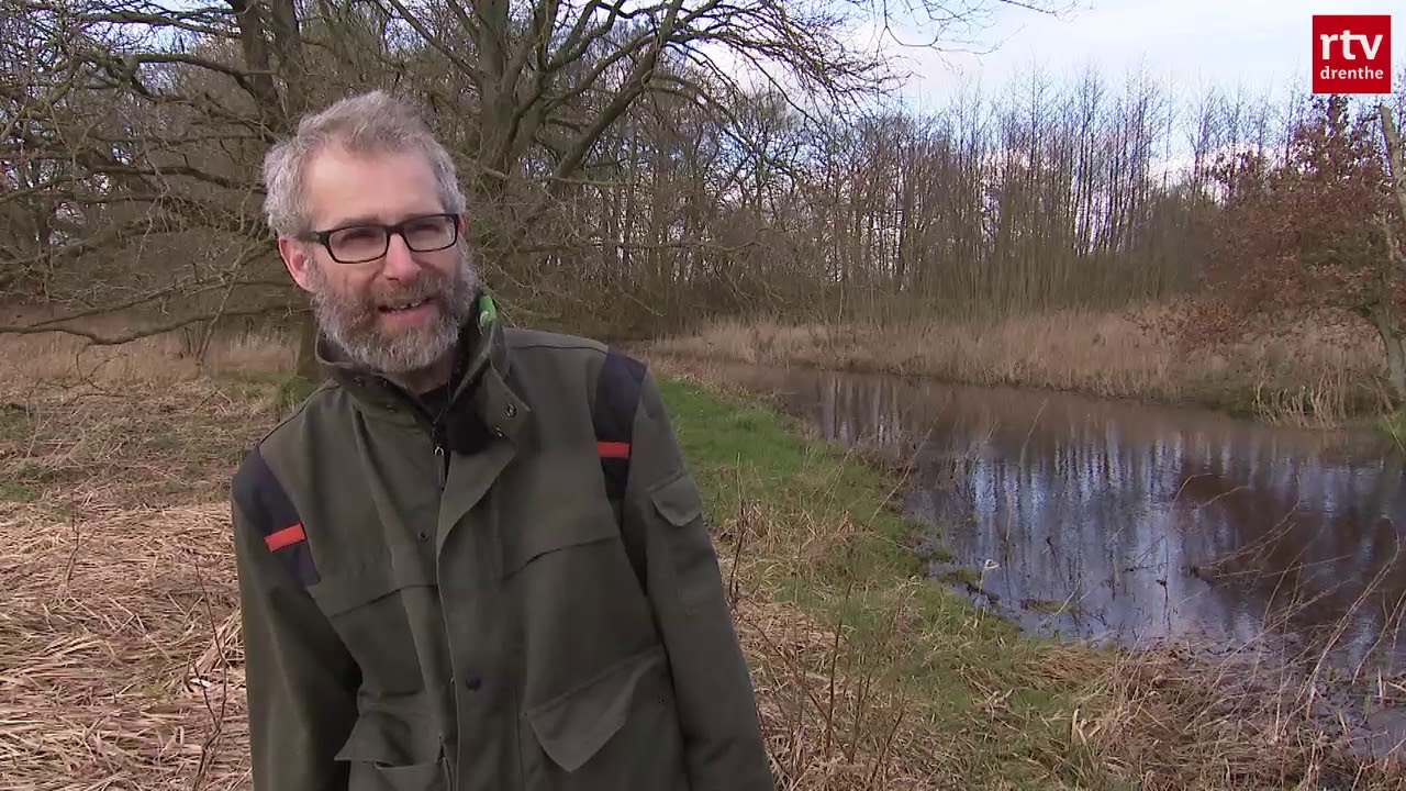 Kijkje in een geheim Drents bos | Natuurnieuws