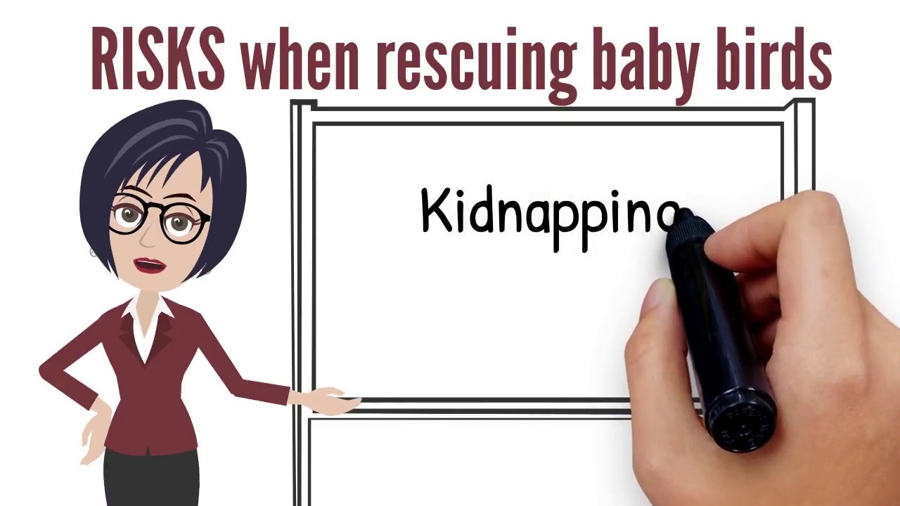 Rescuing Baby Birds