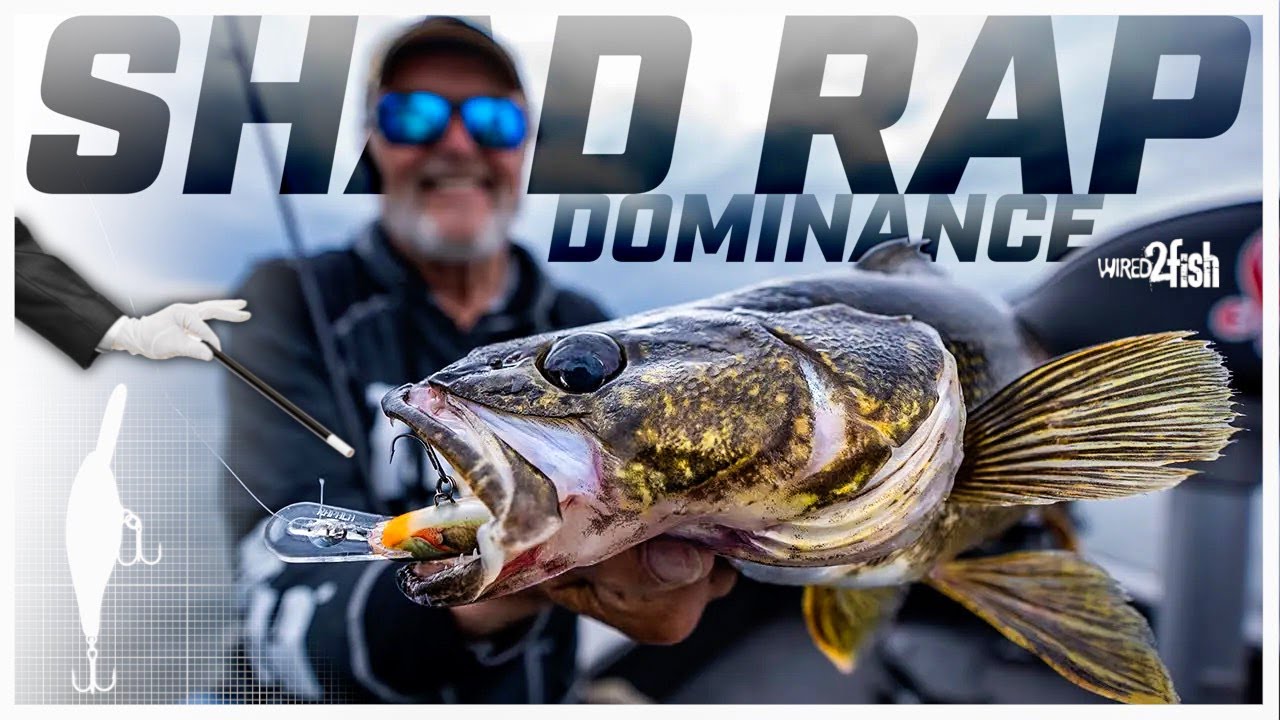 Наследие рэпа Rapala Shad: беседа с Элом Линднером