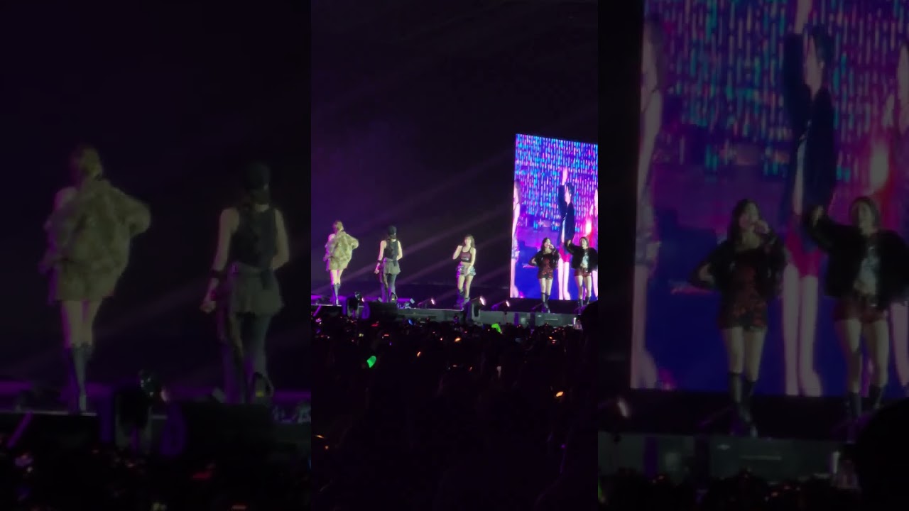 241227 Asia Artist Awards 2024 - Le sserafim 1-800 hot n fun  - Crazy remix