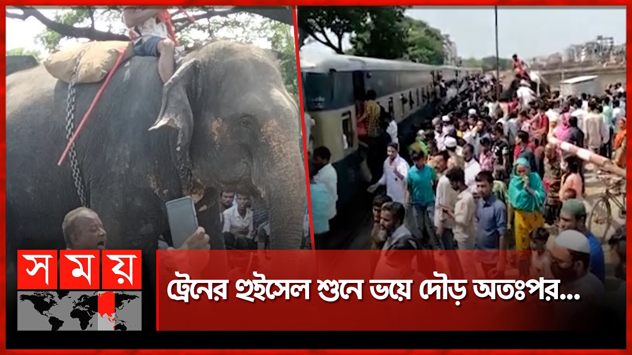 রাজধানীতে ট্রেনে কা-টা পড়ে পোষা হাতির মৃ-ত্যু | Elephant Incident | Dhaka News | Somoy TV