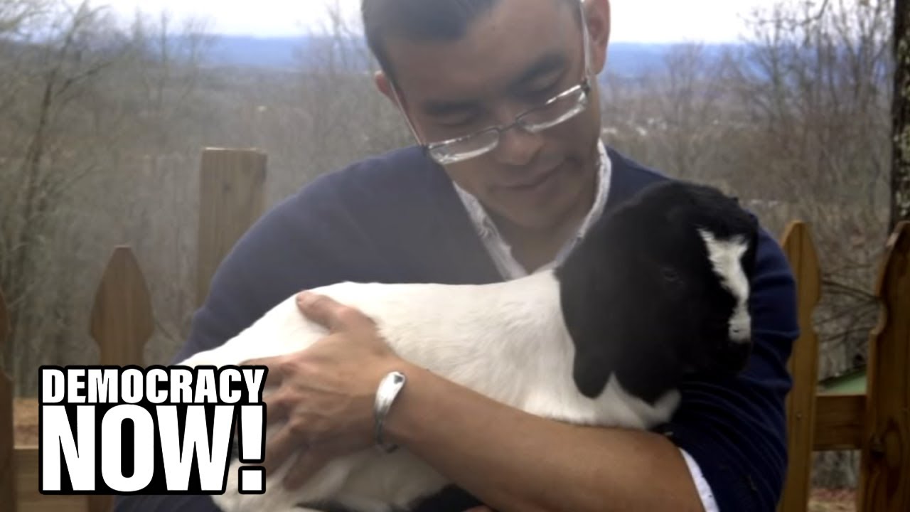 Compassion Is Not a Crime: Animal Rights Activist Avoids Jail After Conviction for Baby Goat Rescue