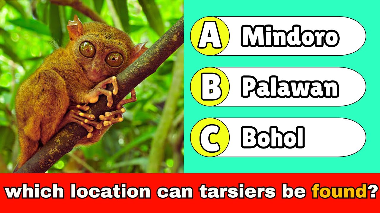 General Knowledge Quiz about The Philippines |  32 Questions with Answers | Philippine Trivia Quiz