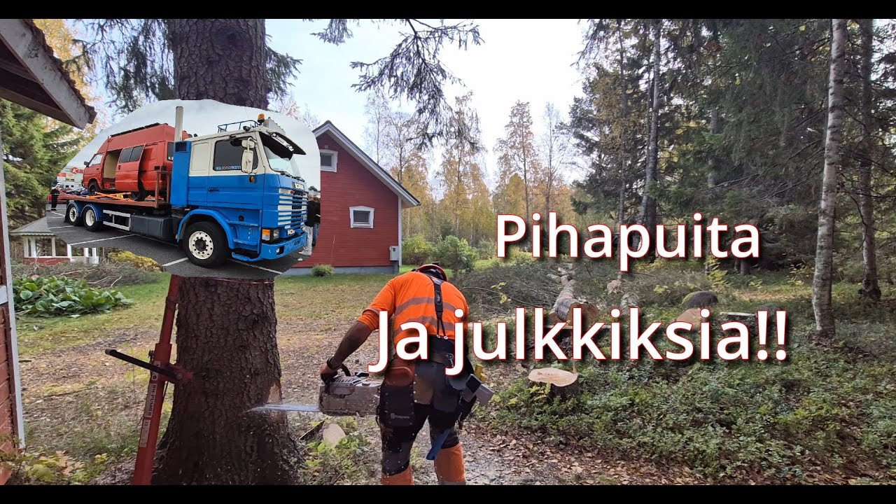 Pihapuita ja selkäkipuja | Pihapuiden kaatoa metsurityönä