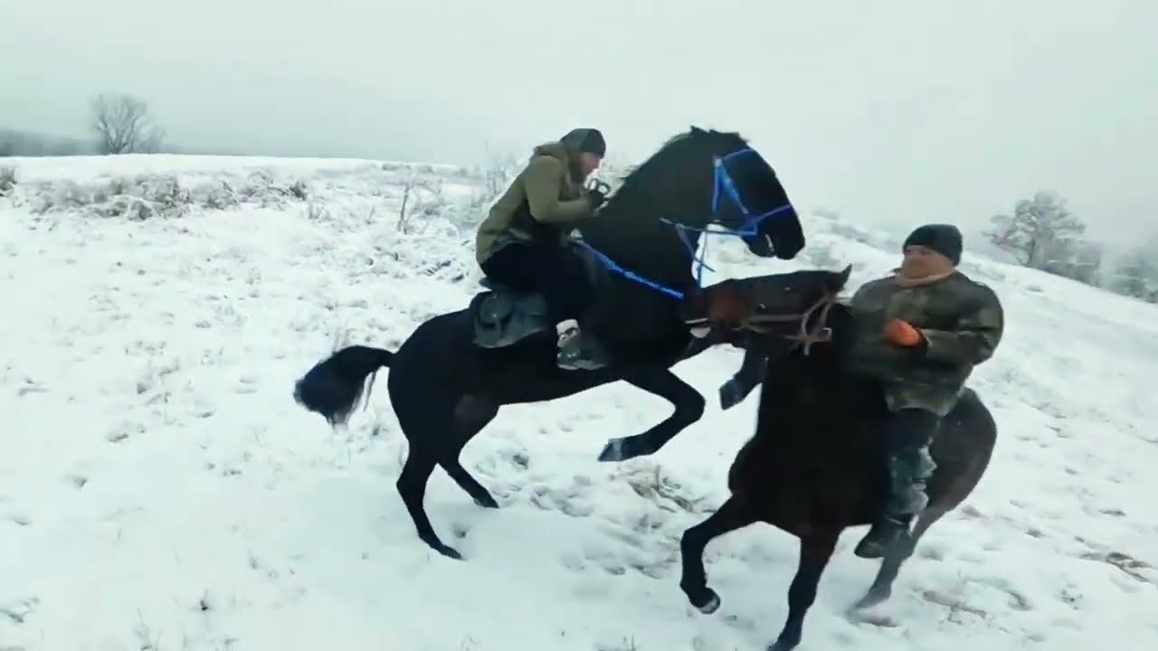 Развлекаемся на прогулке 🔥