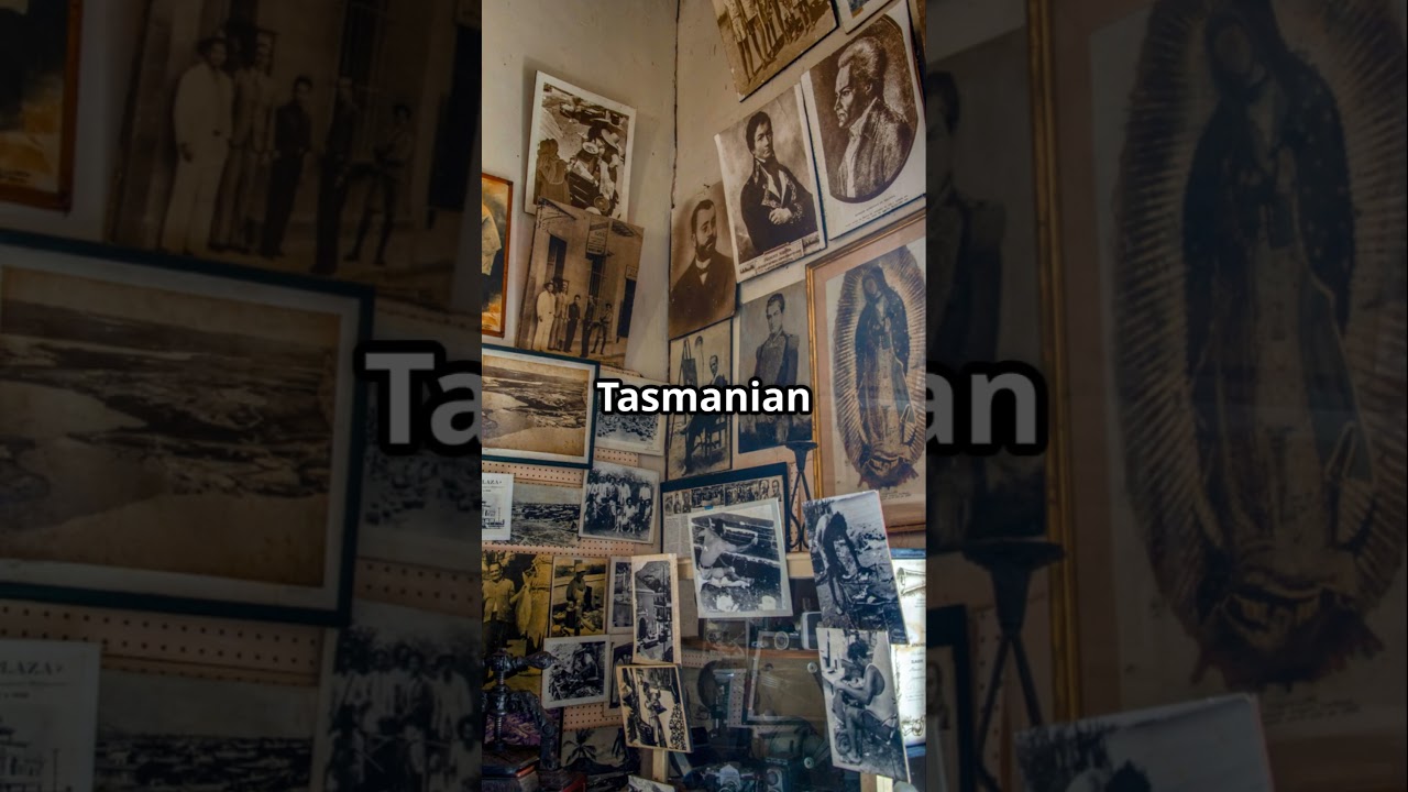 The Lost Tribes of Tasmania #TasmanianAboriginals #CulturalHeritage #ExtinctTribes #Colonization