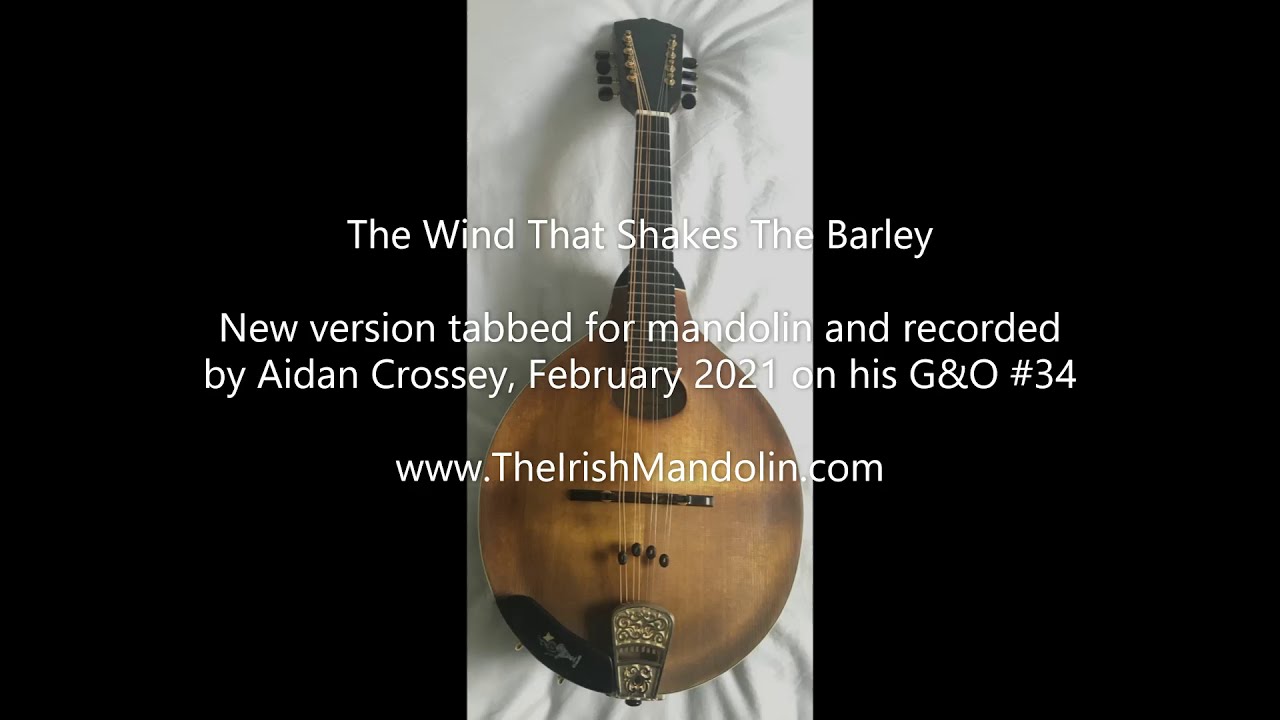 The Wind That Shakes The Barley - new version, February 2021, tabbed and played by Aidan Crossey