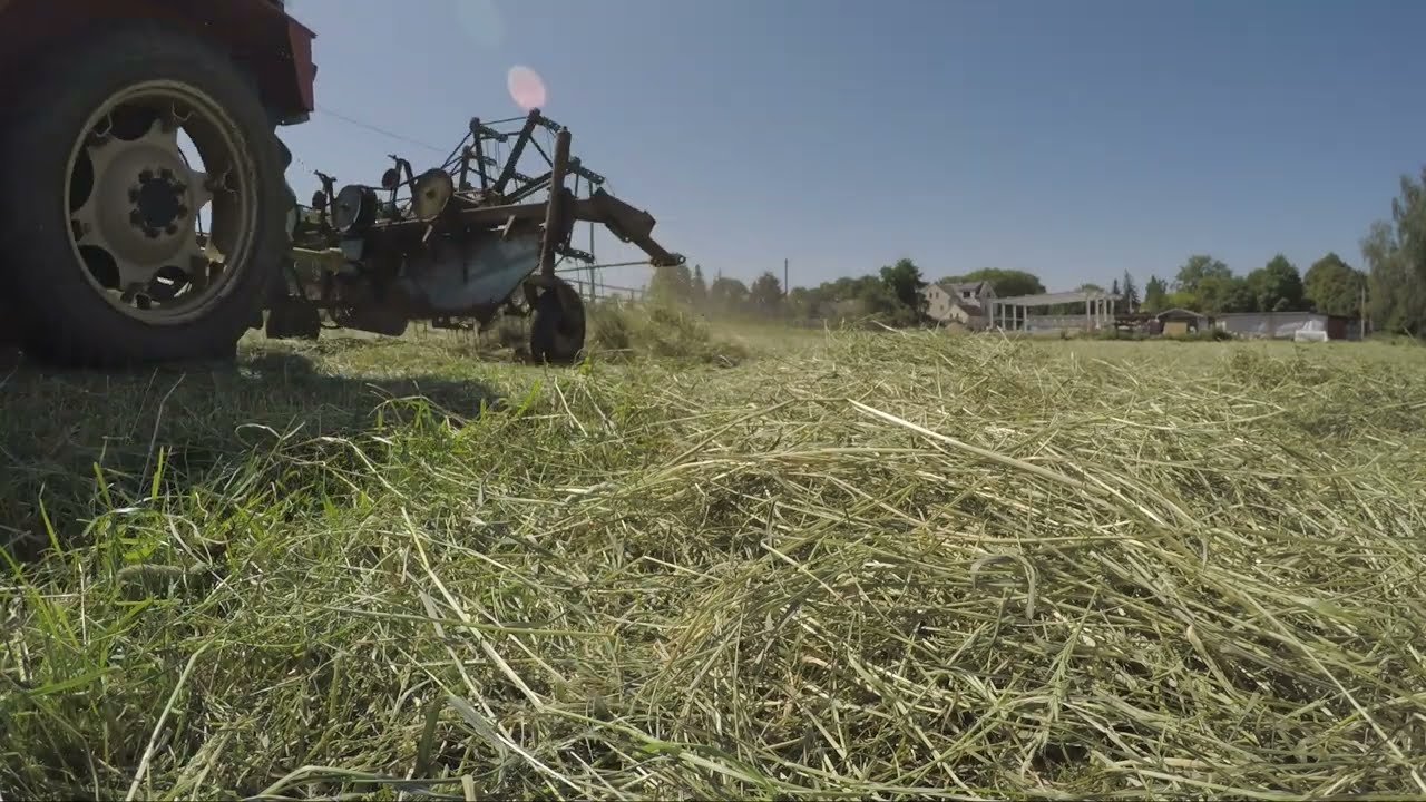 Heuwenden mit Zetor 5245 und Fortschritt E247 Radrechwender - 15.06.2023