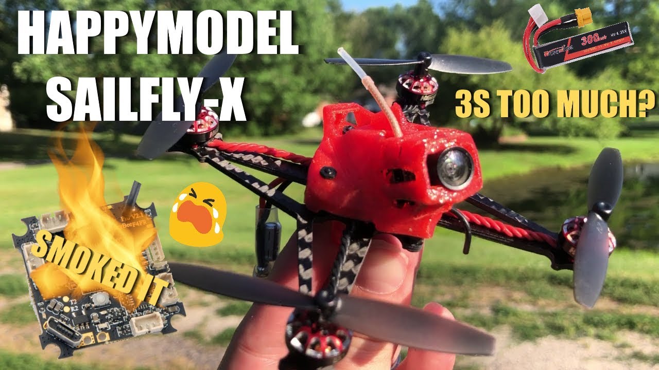 HappyModel SailFly X Toothpick FPV Drone (SMOKED IT!) 🔥