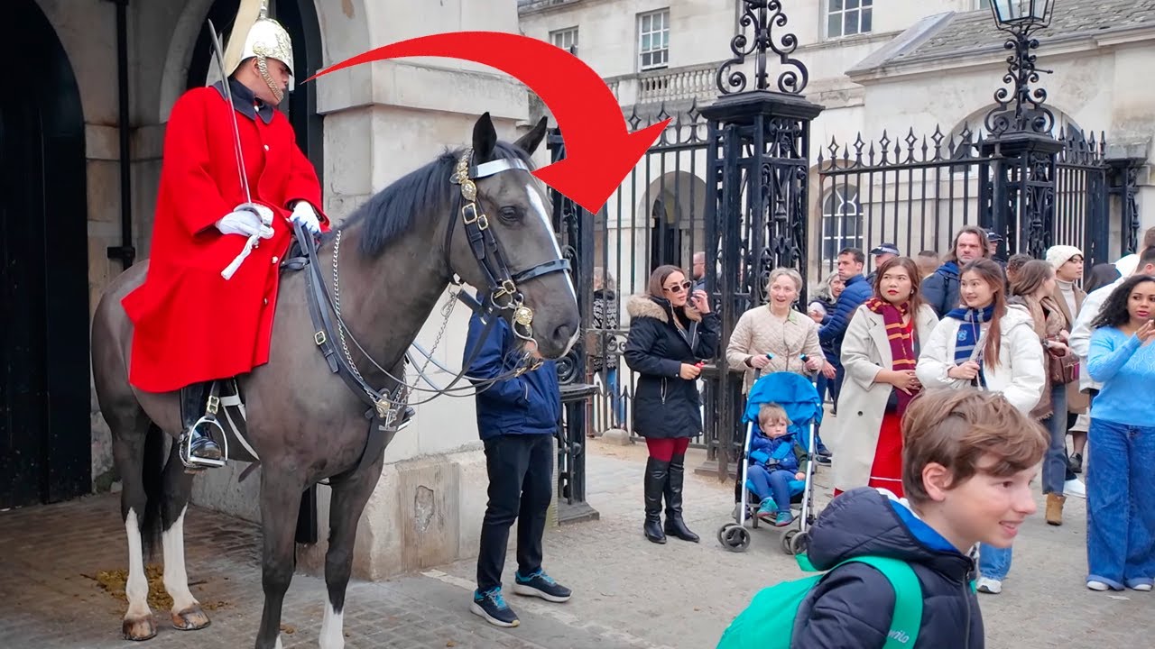 Guard SHOUTS at Tourists Who Can't Follow the Rules..!
