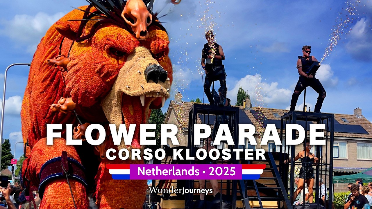 Корсо Клоостер 2025 🌷 🇳🇱 Эффектный парад георгинов [4k]