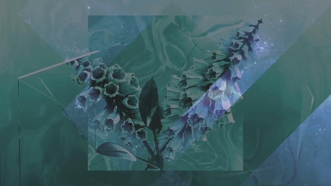 Dream With Me - - Fear Decay X RewØund Official Visualizer