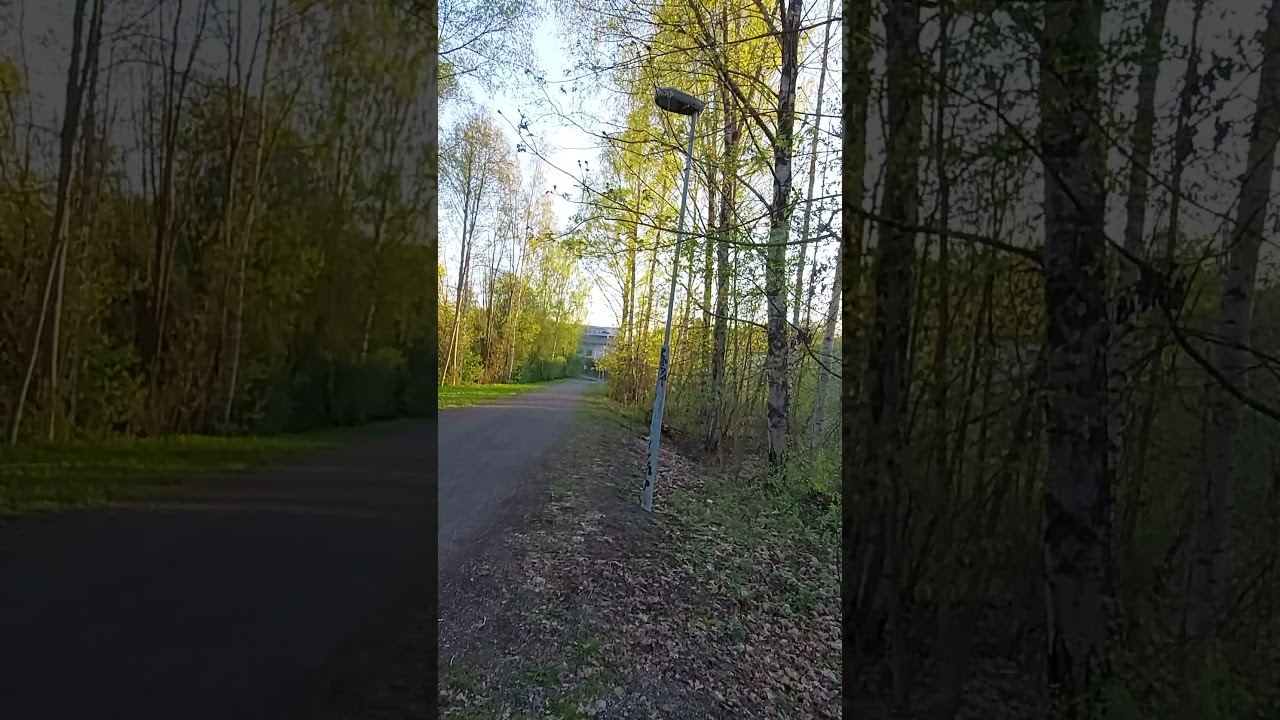 avara luonto epil&auml;