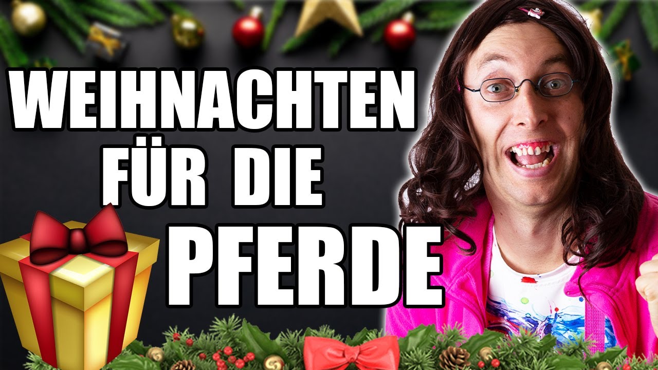 Mareike feiert Weihnachten mit Moonlight🎄🐴| Freshtorge