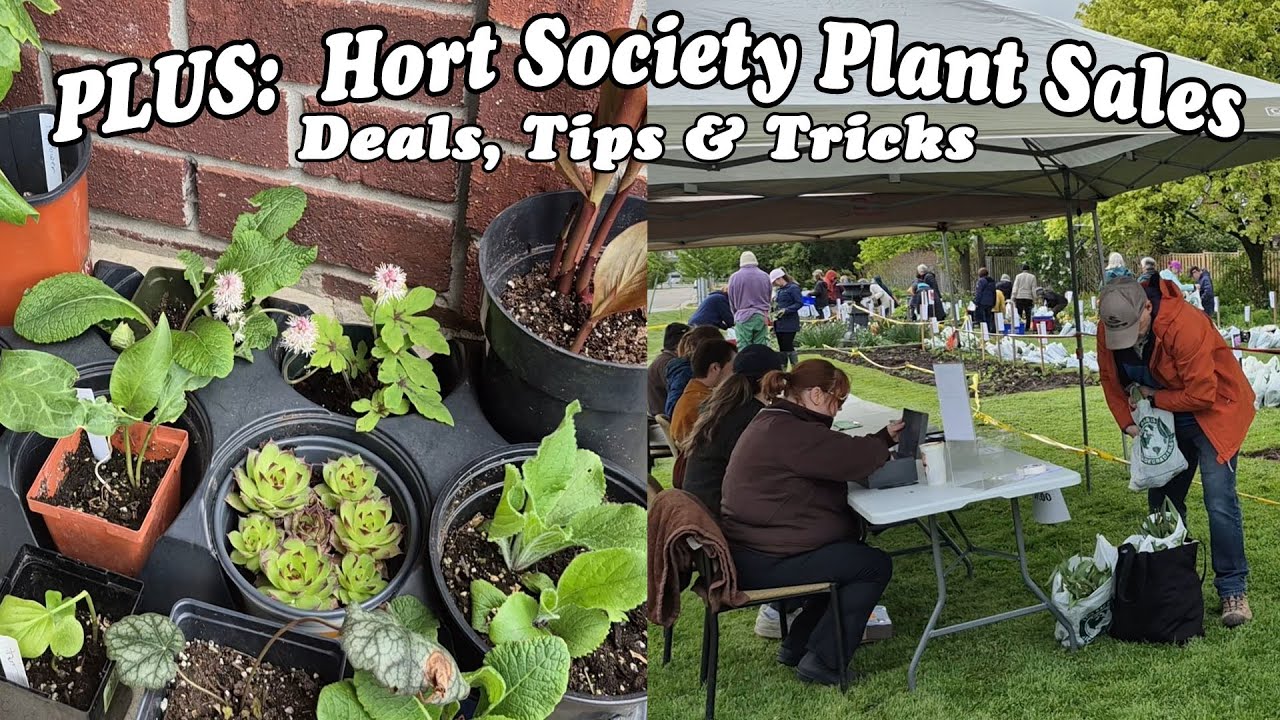 Your Local Garden Club = Hidden Gold.  Why YOU should join!