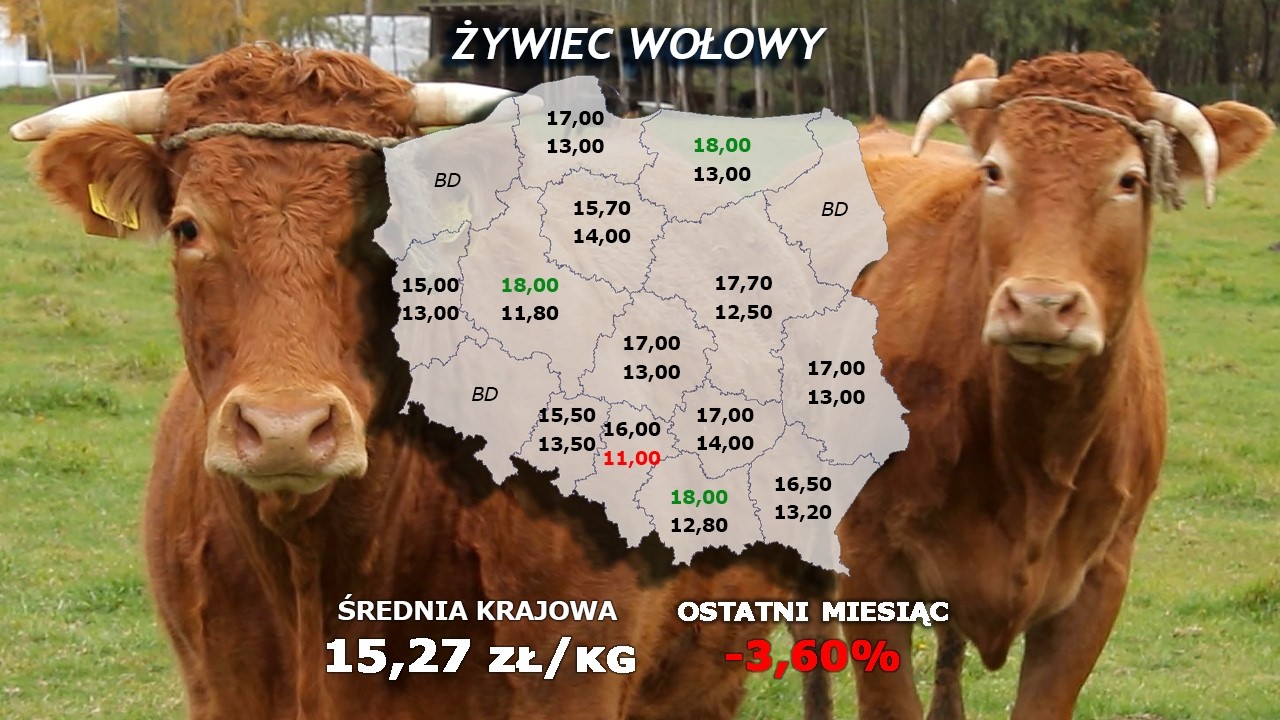 #327 agro wiadomości nonstop - 17.03.2026