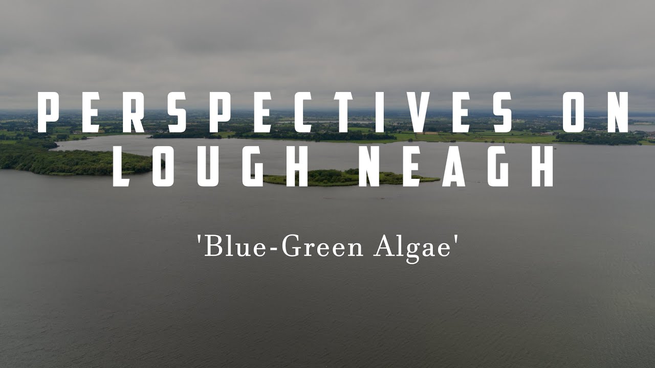 Perspectives on Lough Neagh: Blue-Green Algae