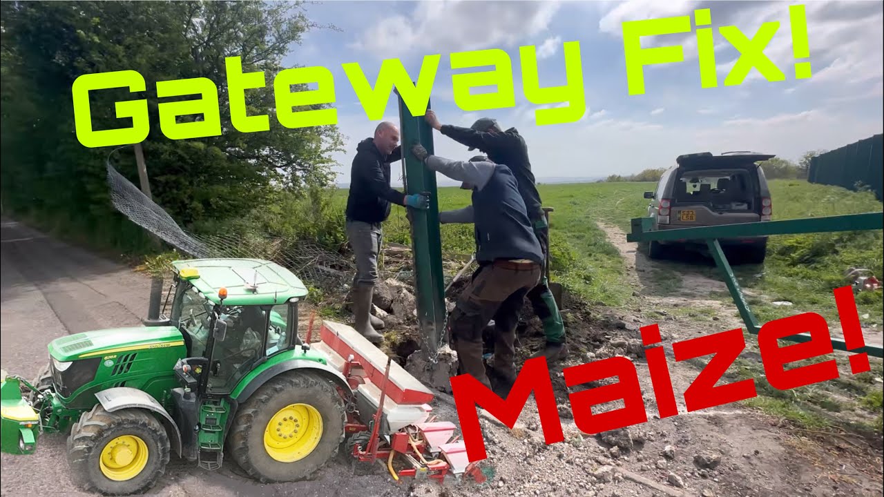 John Deere 6215R Drilling Maize! Fixing Smashed Gateways!