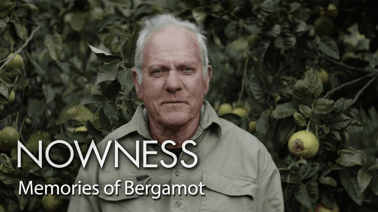 Italian farmers harvest bergamot for Le Labo Fragrances