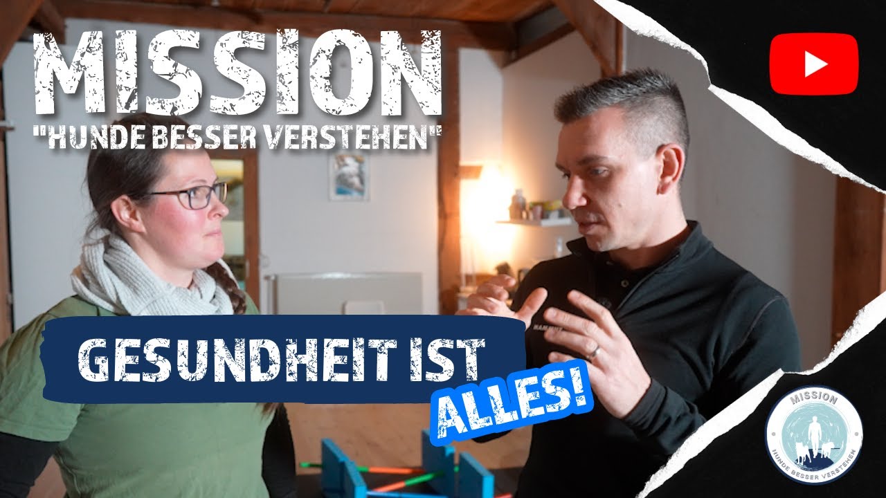 DAS musst du WISSEN!!!Leckerlies und Schmerzen beeinflussen VERHALTEN