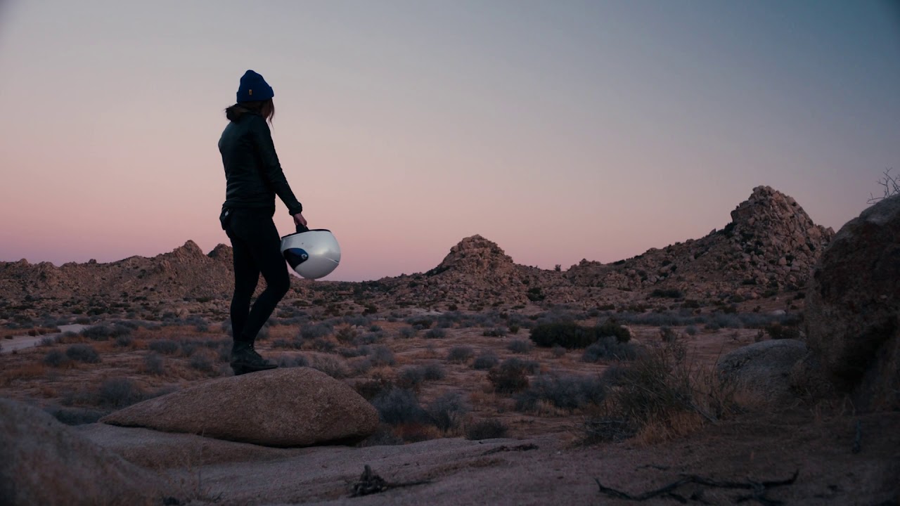 2021 Harley-Davidson lineup: Leave a trail of stories in your wake