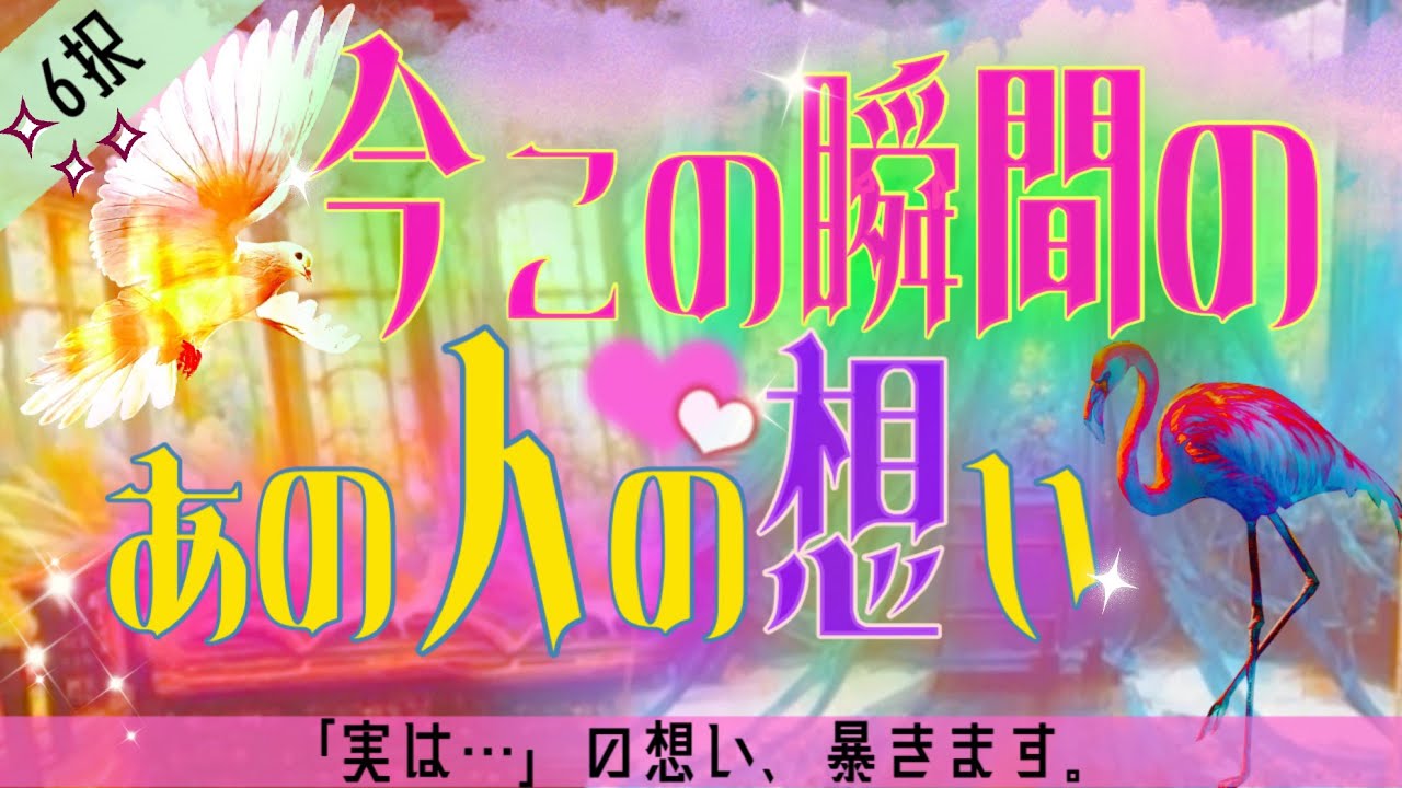【6択】見た時がタイミング‼️あの人の今この瞬間のあなたへの気持ち❤️‍🔥あの人は私をどう思ってる？お相手の本音気持ち未来時期を見てみました。タロットルノルマンオラクルカードで恋愛深堀リーディング🃏