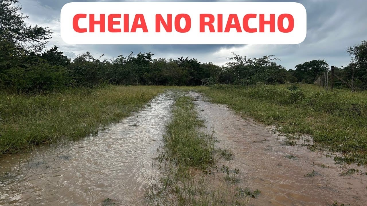 ÁGUA DESCENDO PARA O RIACHO NO SERTÃO 