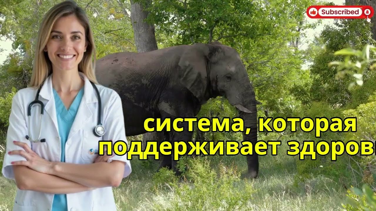 Висцеральный жир: как убрать опасный жир в животе
