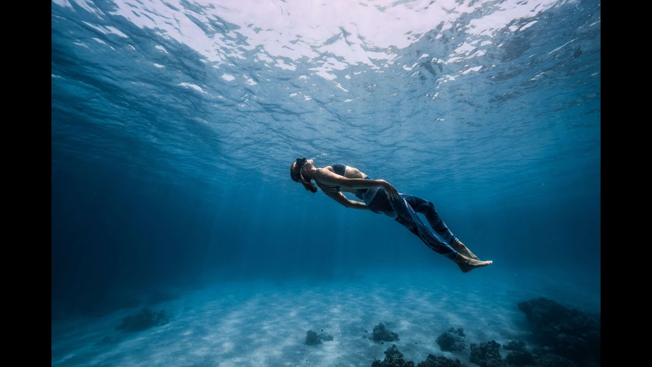 Fluid Focus Freedive Retreats