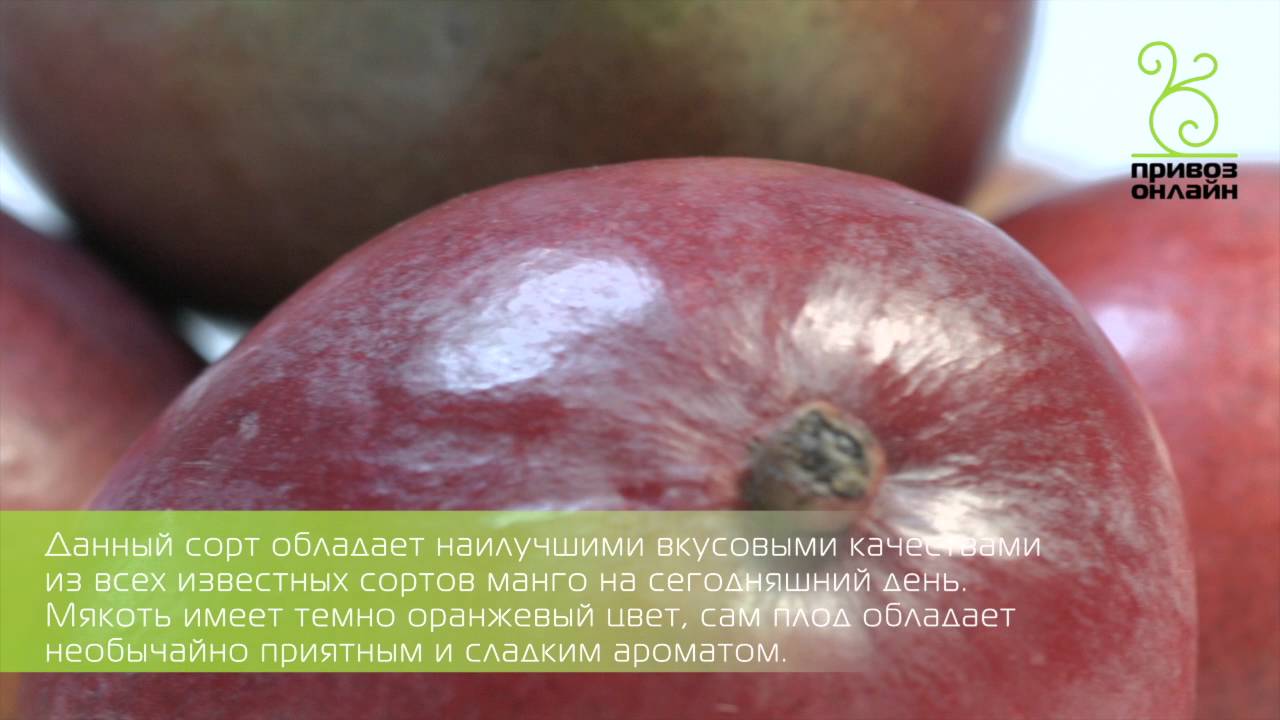 Манго (Беверли)