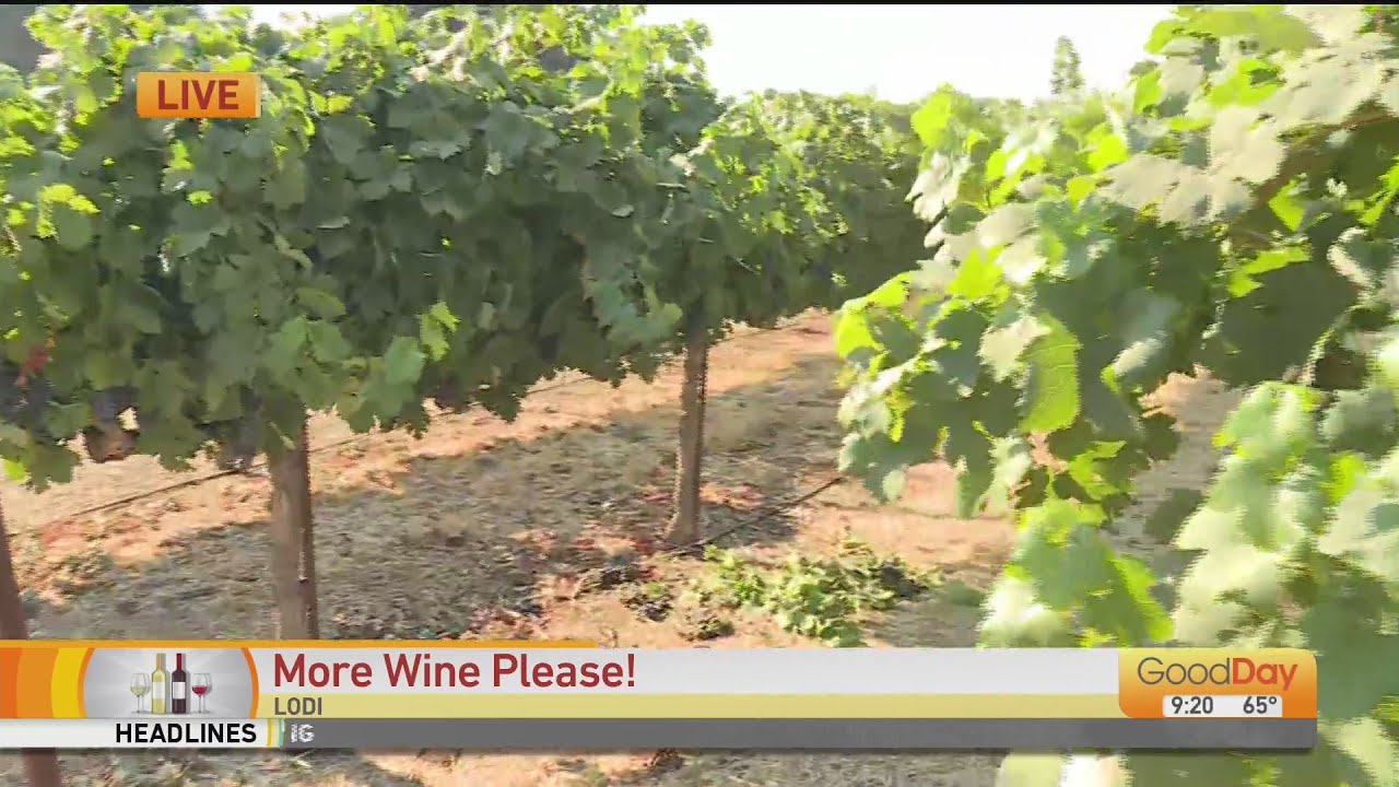 Harney Lane Winery