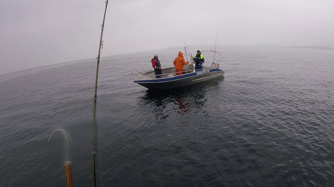 Pilken p&aring; kulorna