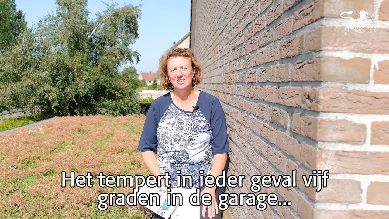 5 graden koeler dankzij sedumdak