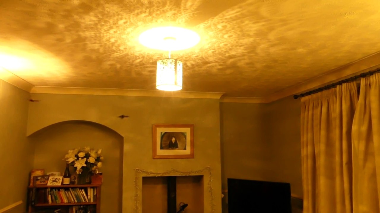 Bats in my living room.
