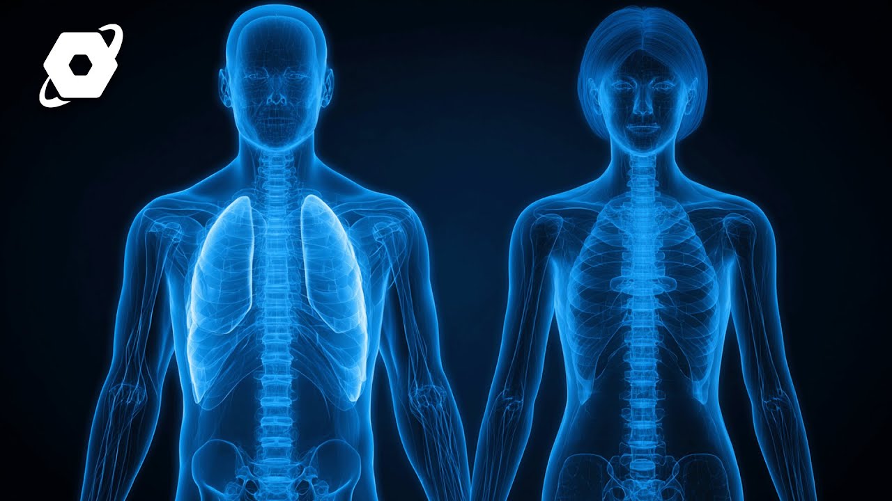 Are Women Biologically Stronger Than Men? | FULL DOCUMENTARY