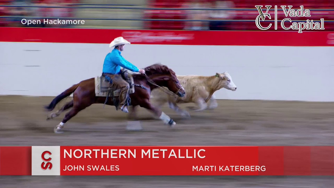 Calgary Stampede 2019 - July 12 - Working Cow Horse Hackamore Winning Run - John Swales