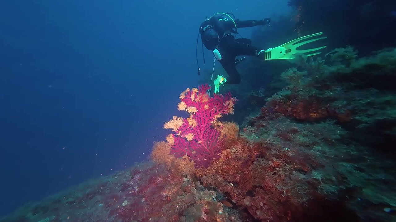 2025 Diving Sicily / June