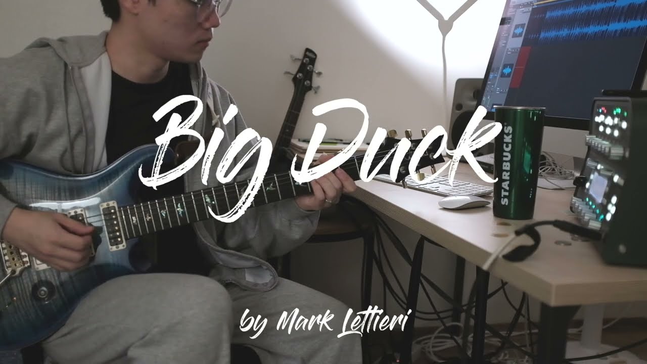 Big Duck - Mark Lettieri (Cover)