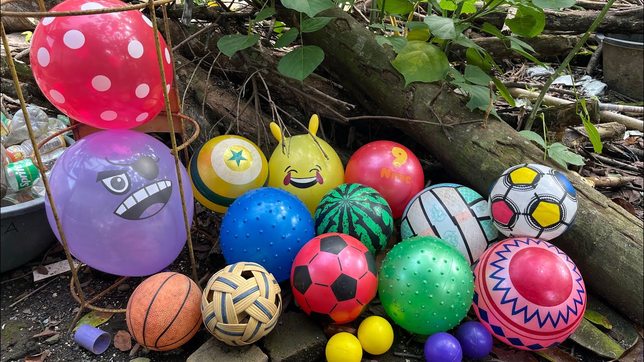 KOMPILASI VIDEO 61 HUNTING BALON LUCU DAN BOLA BOLA