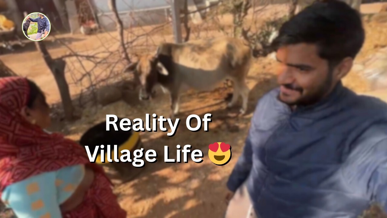 Gaay Ke Ghar Ka Reality Check 🐄 || Gaaon Ki Life 😍