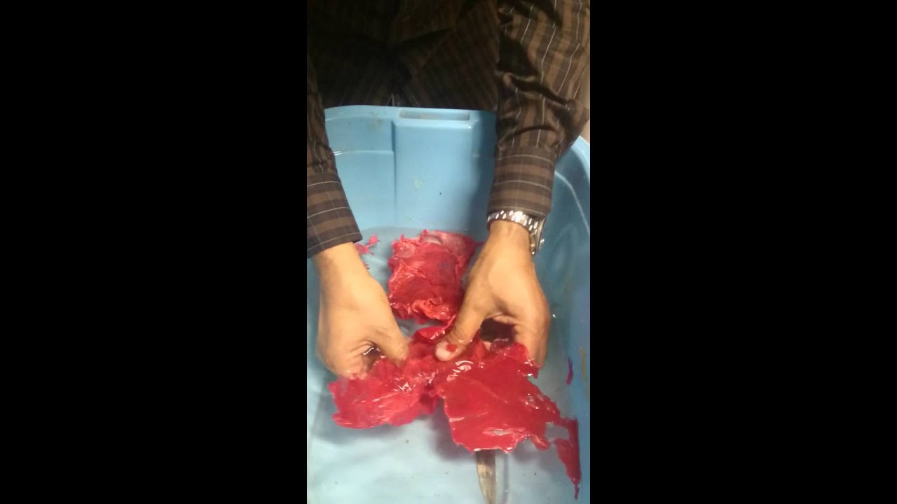 Fake meat from wax. for display in restaurants
